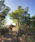 LJBR0386.jpg