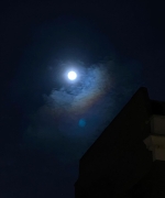 Filename=LJBR0709.jpg
Filesize=65KiB
Dimensions=1440x1800
Date added=Feb 13, 2023 LJBR0709.jpg
