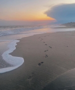 Filename=LJBR0914.jpg
Filesize=176KiB
Dimensions=1431x1752
Date added=Feb 13, 2023 LJBR0914.jpg