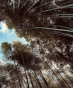 1182.jpg