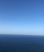 459.jpg