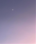 871.jpg