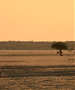 950.jpg